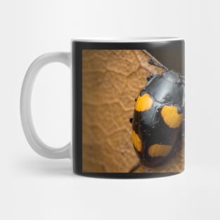 Unique and organic photo of a beautiful fungus beetle Mug